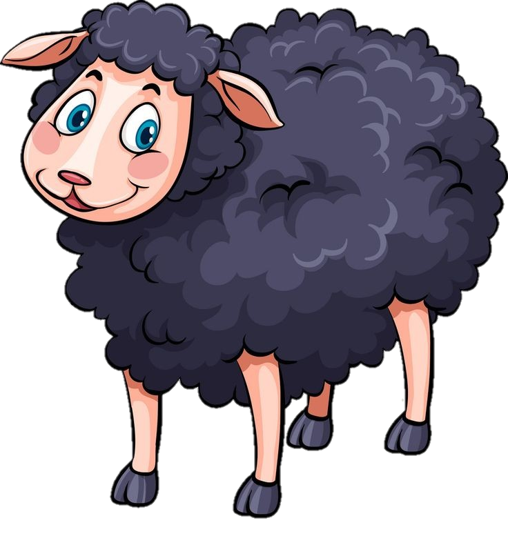 Sheep Illustration Png