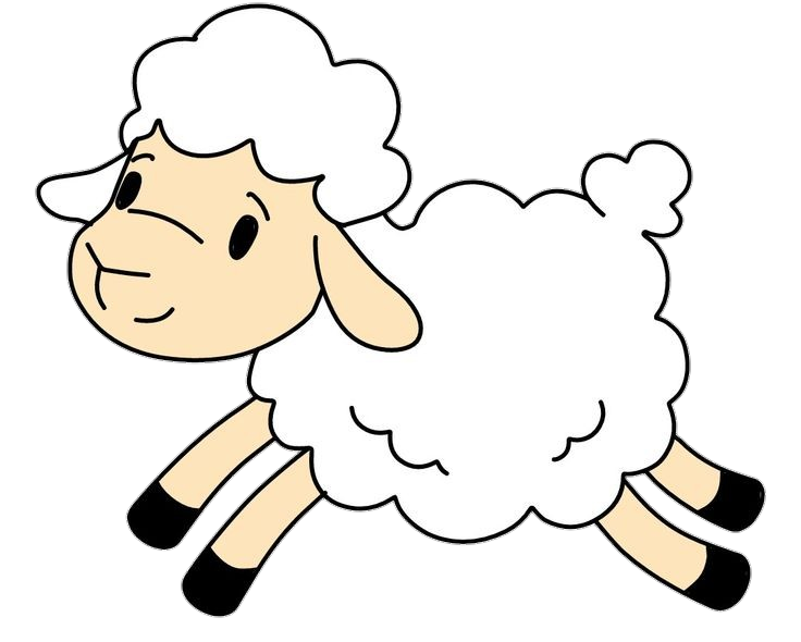 sheep-4