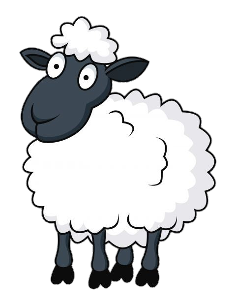 sheep-5
