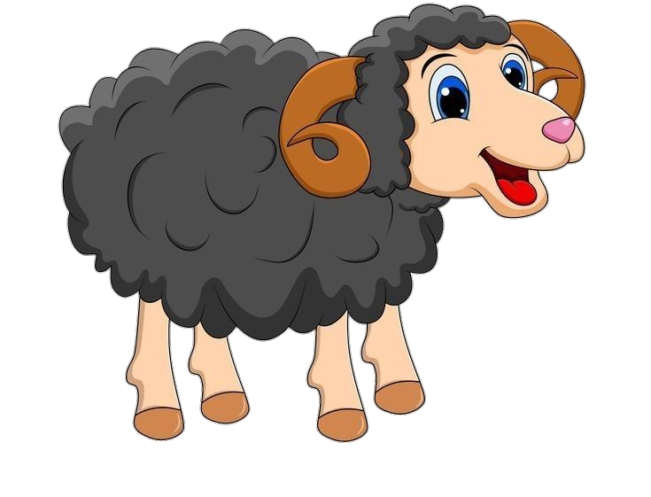 sheep-9