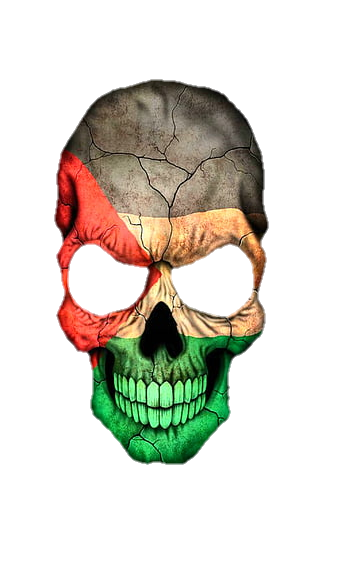skull-png-from-pngfre-11