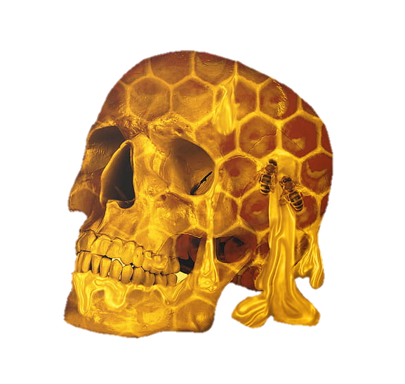 Honey Skull Png