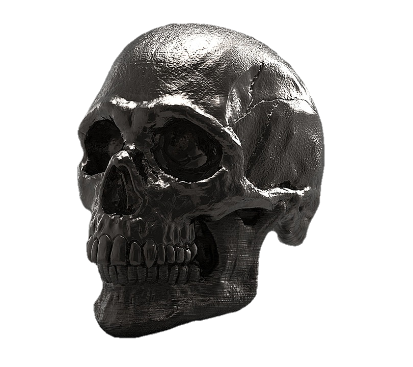 Skeleton Skull Png
