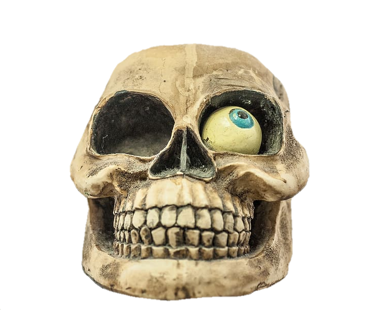 Skull Png with one Eye