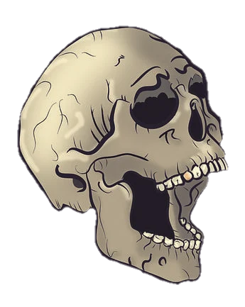 skull-png-from-pngfre-27