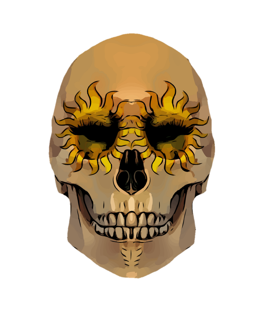 Skull Png vector