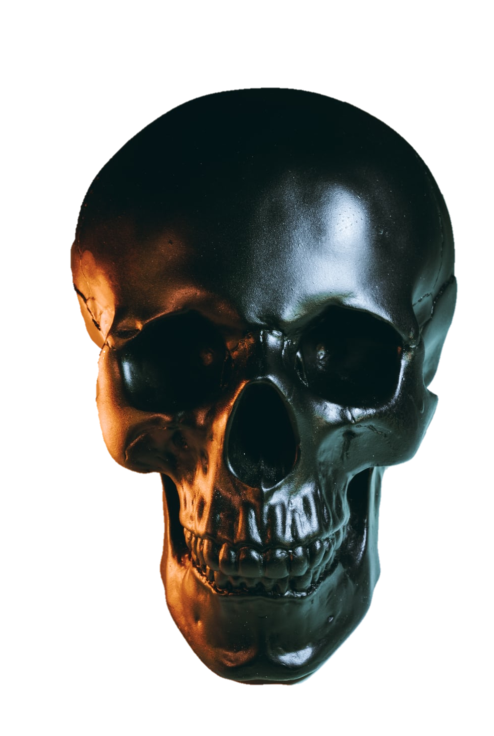 skull-png-from-pngfre-36