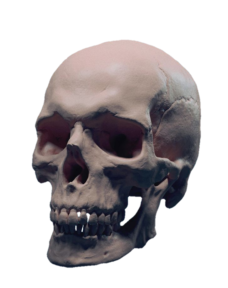 skull-png-from-pngfre-41