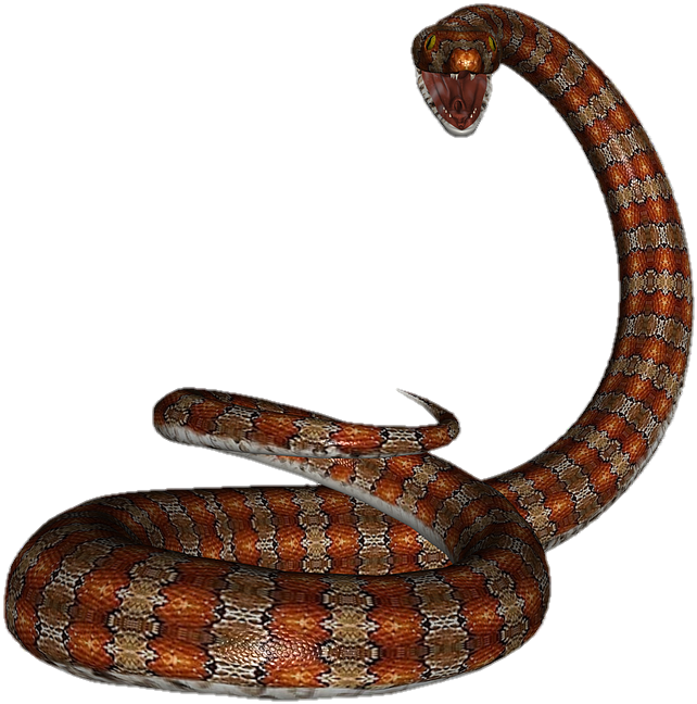 snake-png-image-pngfre-13