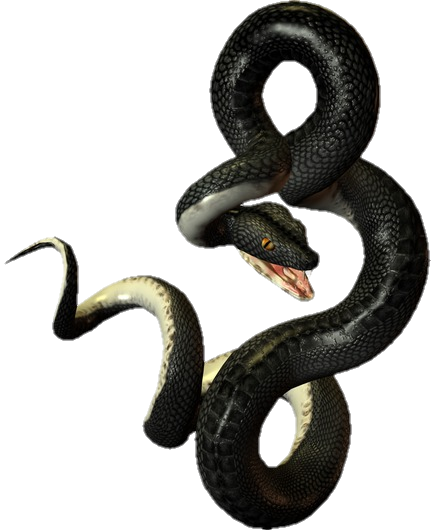 Viper Snake PNG