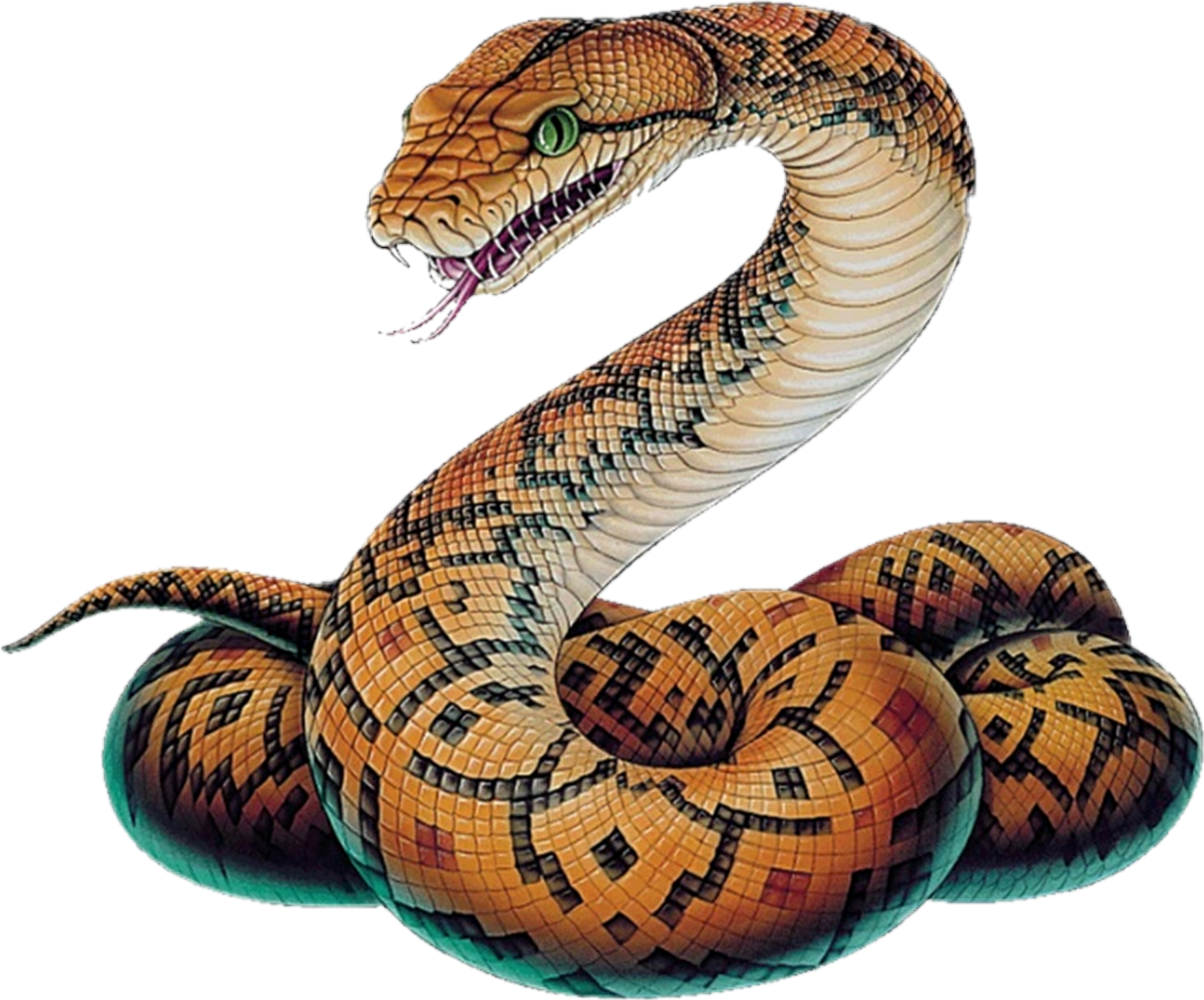 snake-png-image-pngfre-18