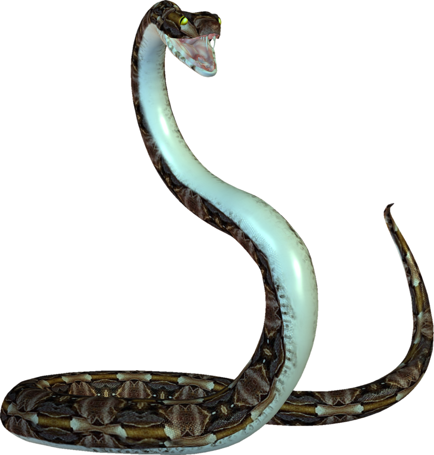 snake-png-image-pngfre-19