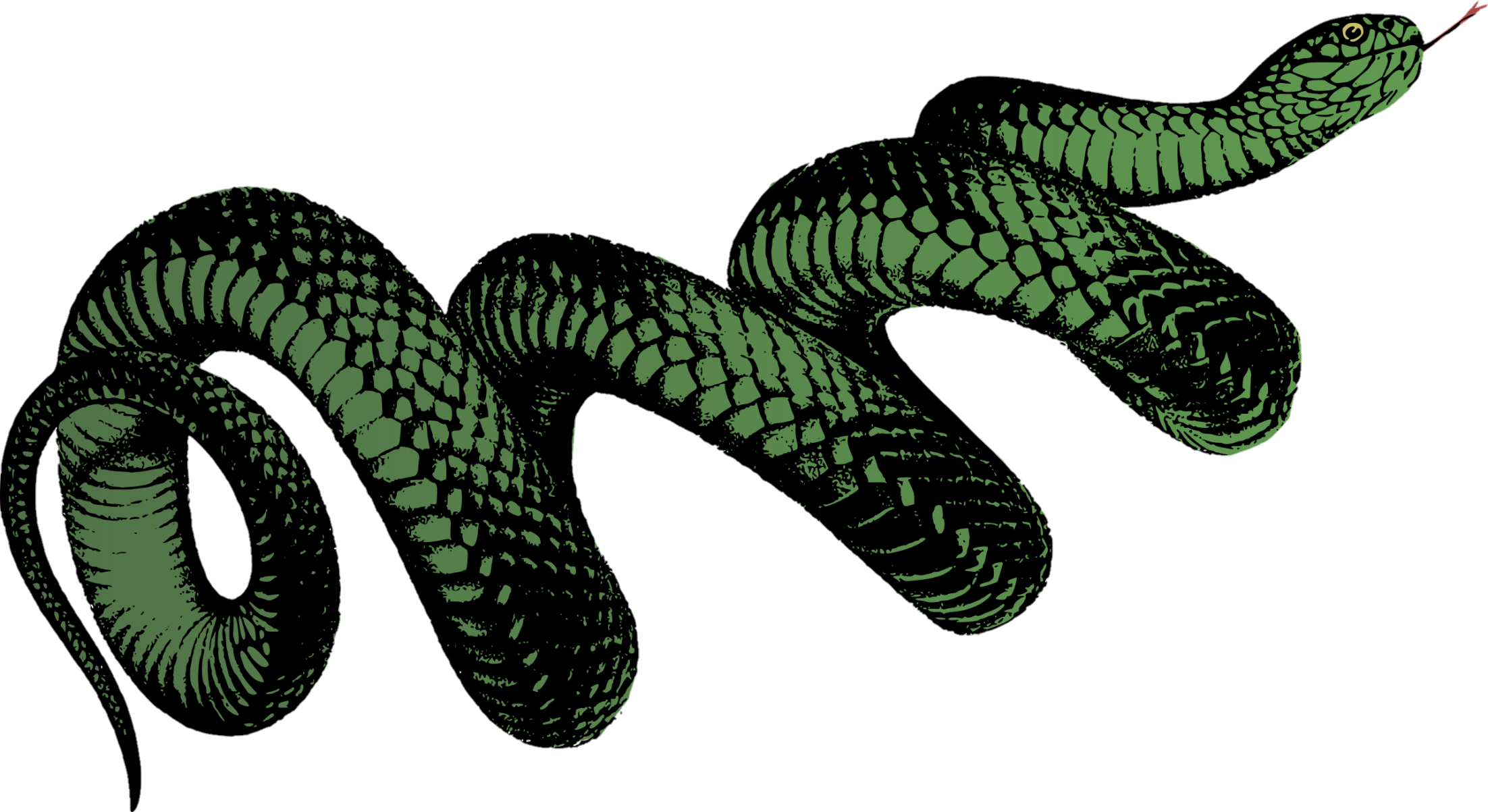 snake-png-image-pngfre-20