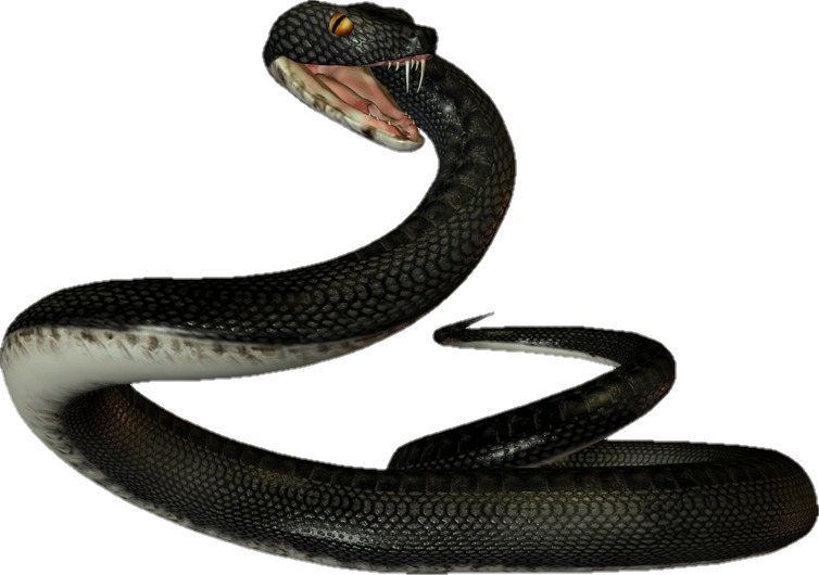 snake-png-image-pngfre-21