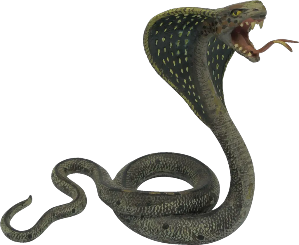 snake png