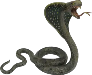 Animated Snake PNG