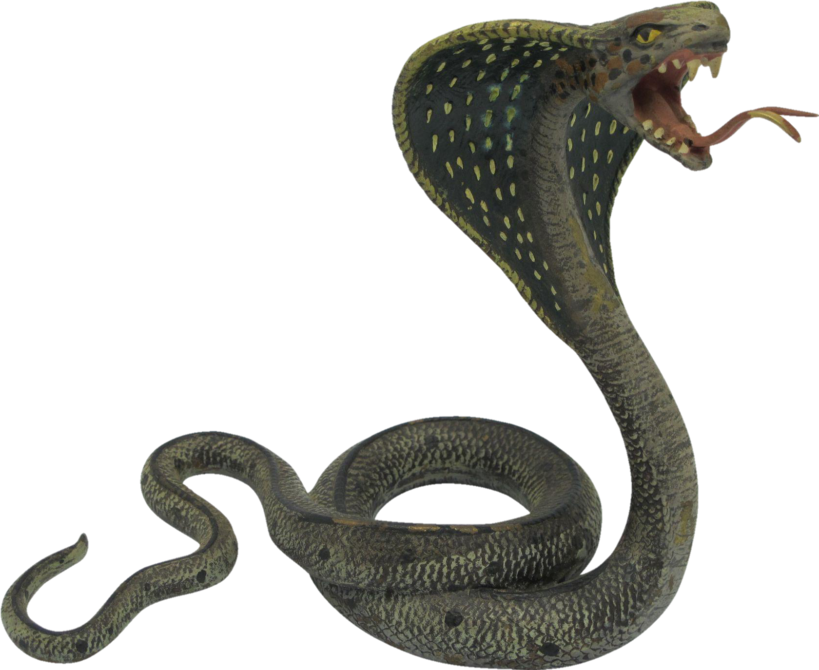 snake-png-image-pngfre-26