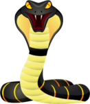 Snake png Image