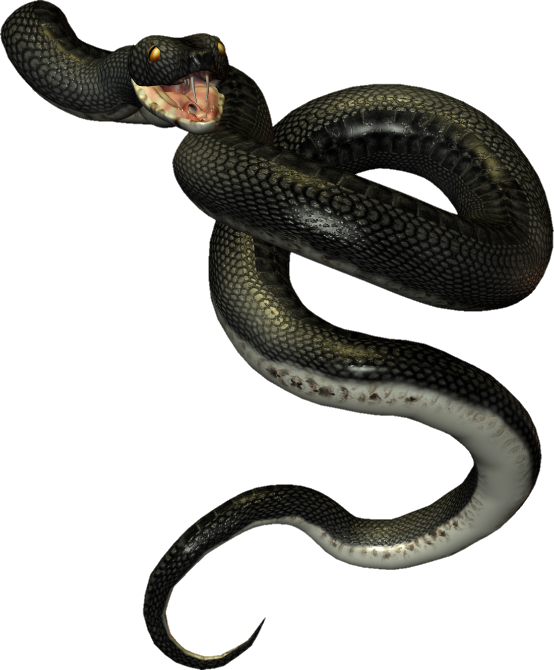 snake-png-image-pngfre-6
