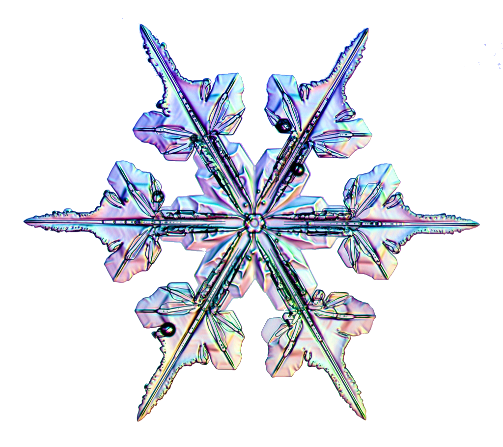 snowflake-53