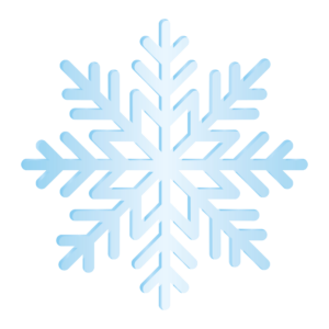 Snowflake vector Png