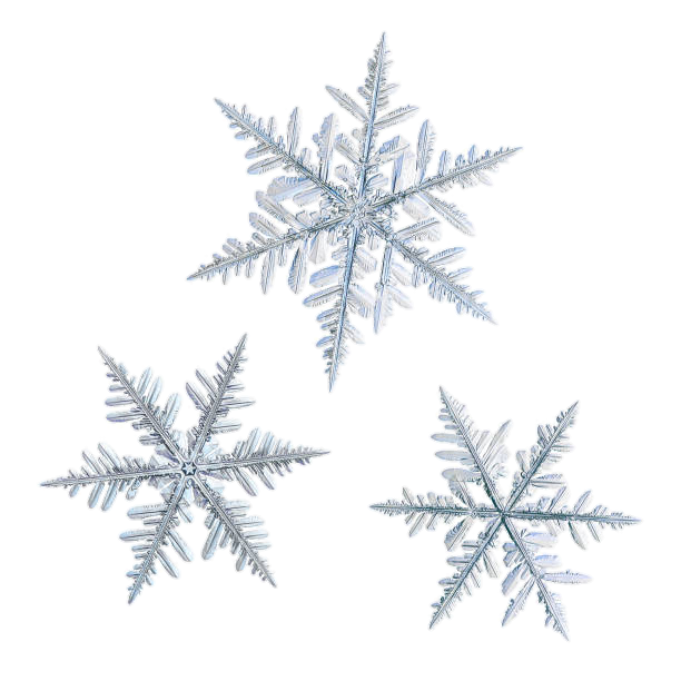 Winter Snowflakes Png