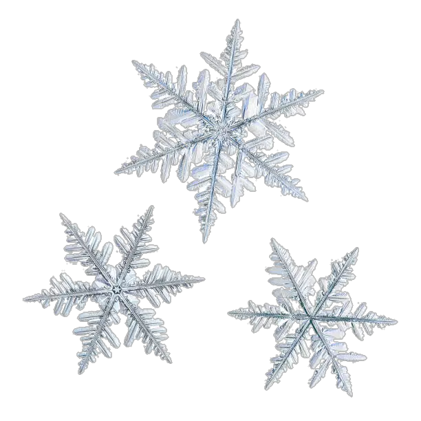 snowflake-png-from-pngfre-14