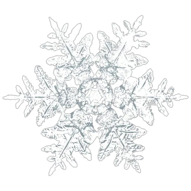 snowflake-png-from-pngfre-2-1