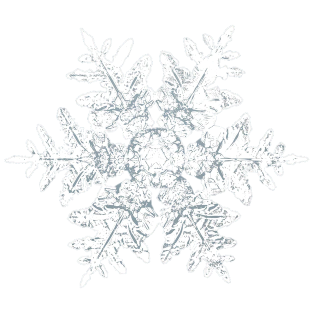 snowflake-png-from-pngfre-2