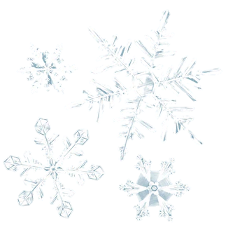 snowflake-png-from-pngfre-3