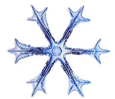 snowflake-png-from-pngfre-30