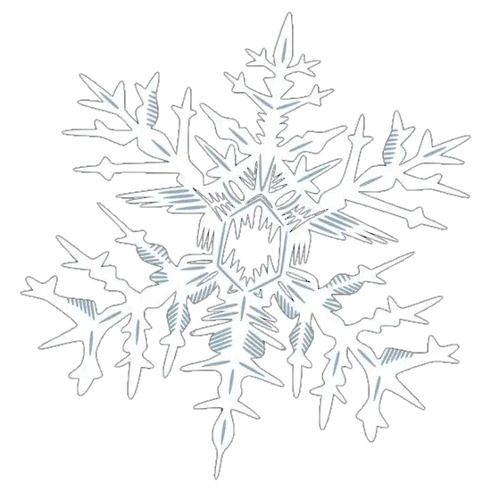 White Snowflake Png