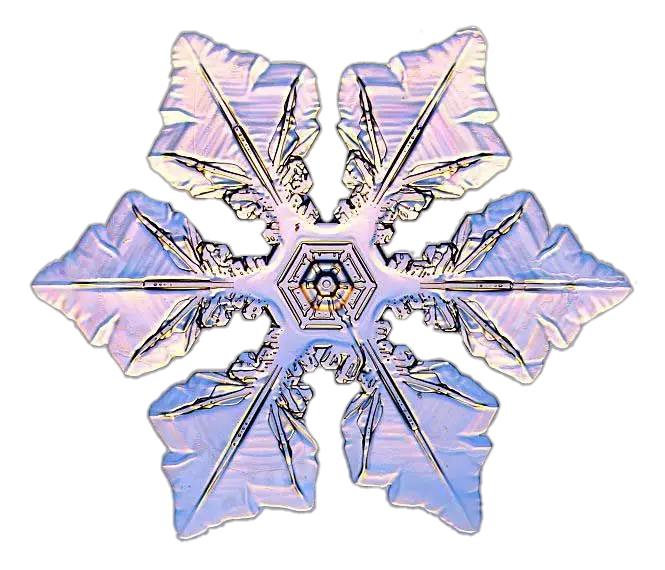 Snowflake Png Download 