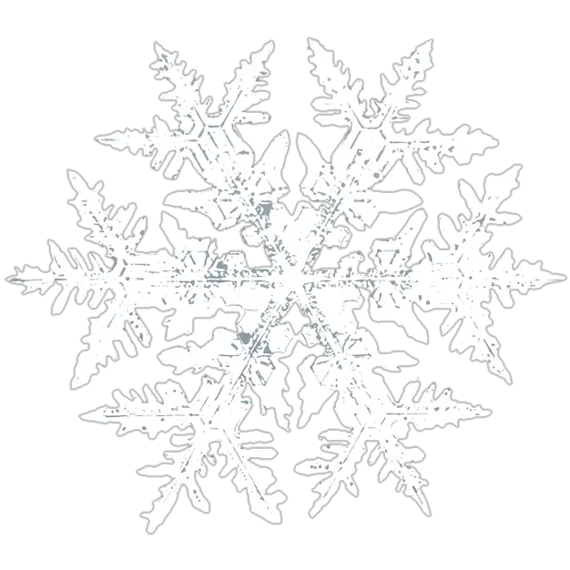 snowflake-png-from-pngfre-39