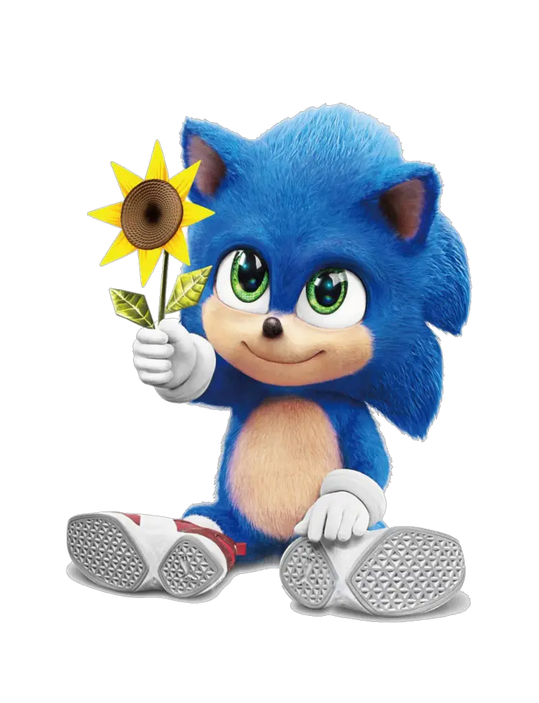 Sonic Run Pose png  Sonic funny, Hedgehog movie, Sonic