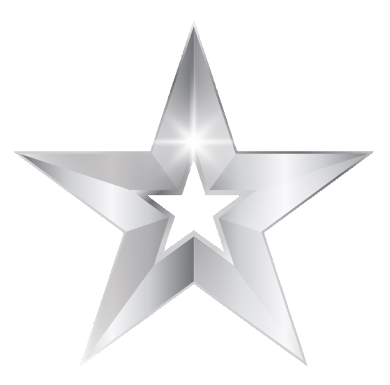 Silver Star PNG