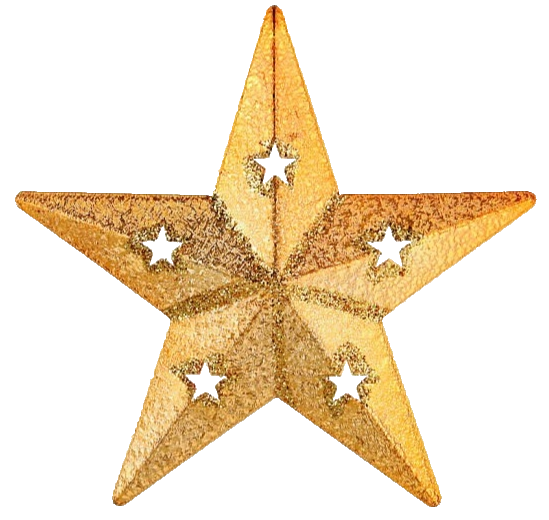 Christmas Star PNG