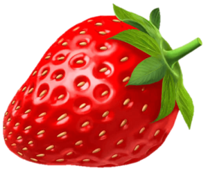 strawberry vector download 