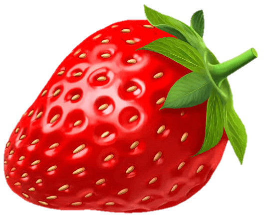 strawberry vector download 