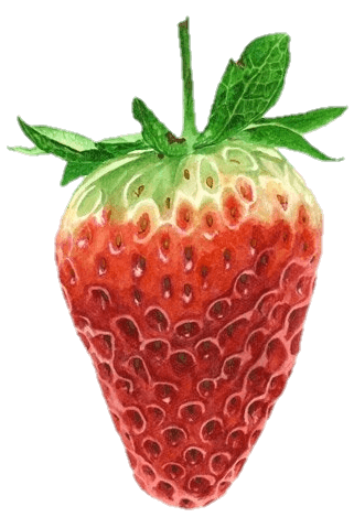 strawberry picture