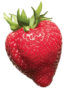 single strawberry png image