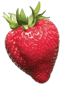 single strawberry png image