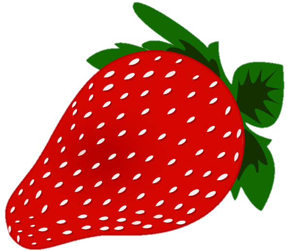 Strawberry Vector