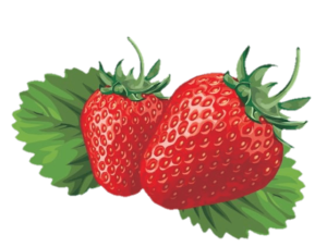 High Resolution Strawberry Png