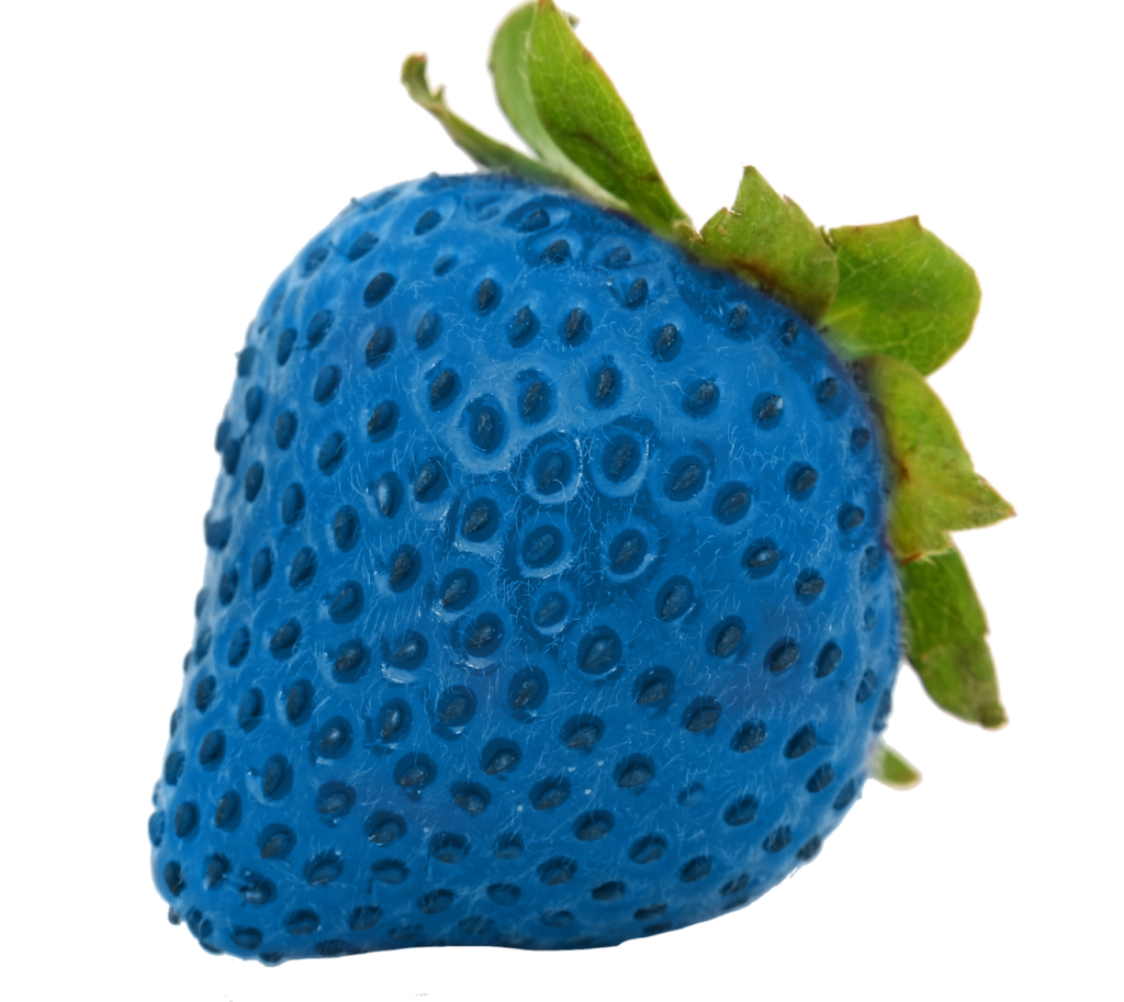 Blue Strawberry Png