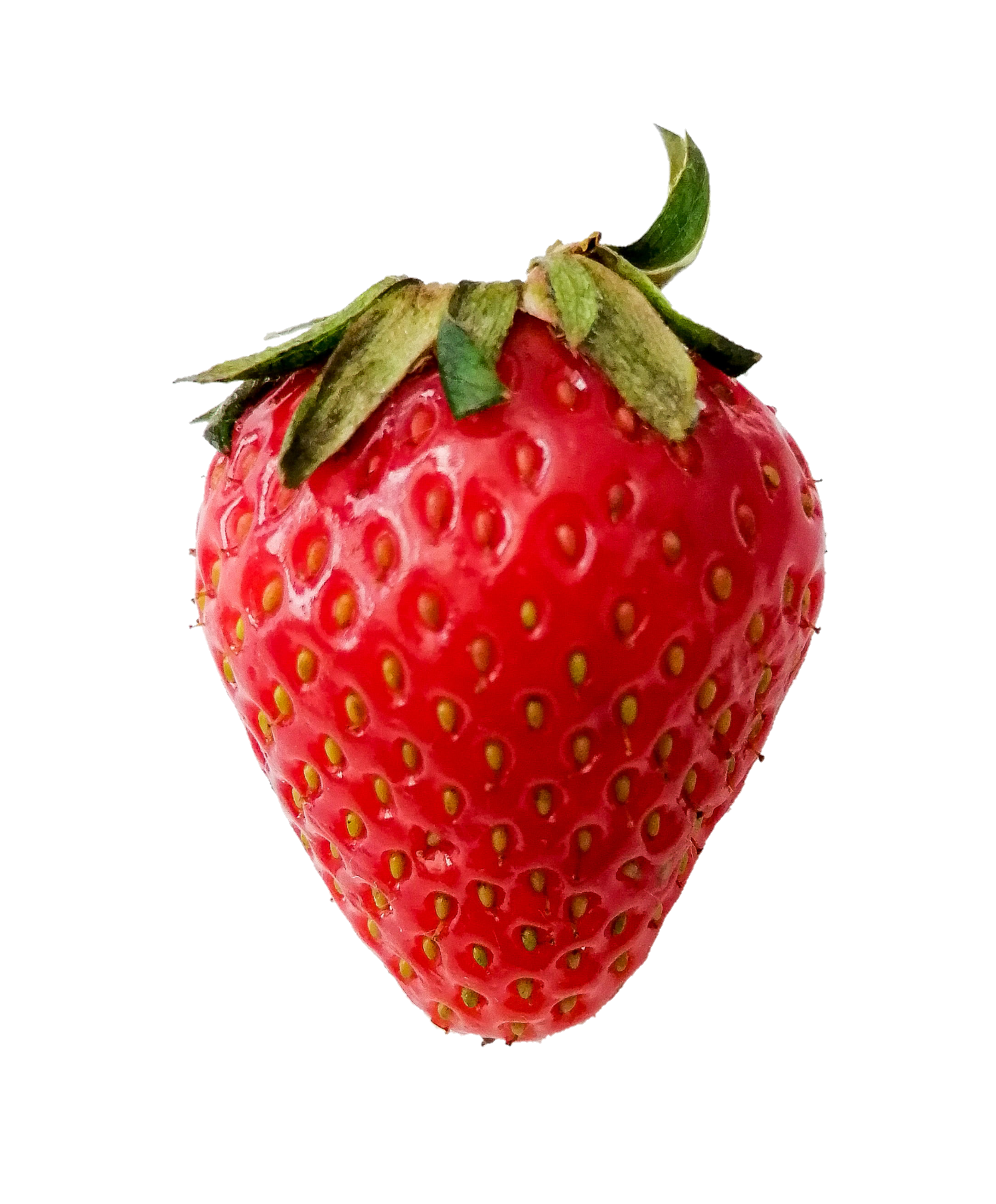 strawberry-85