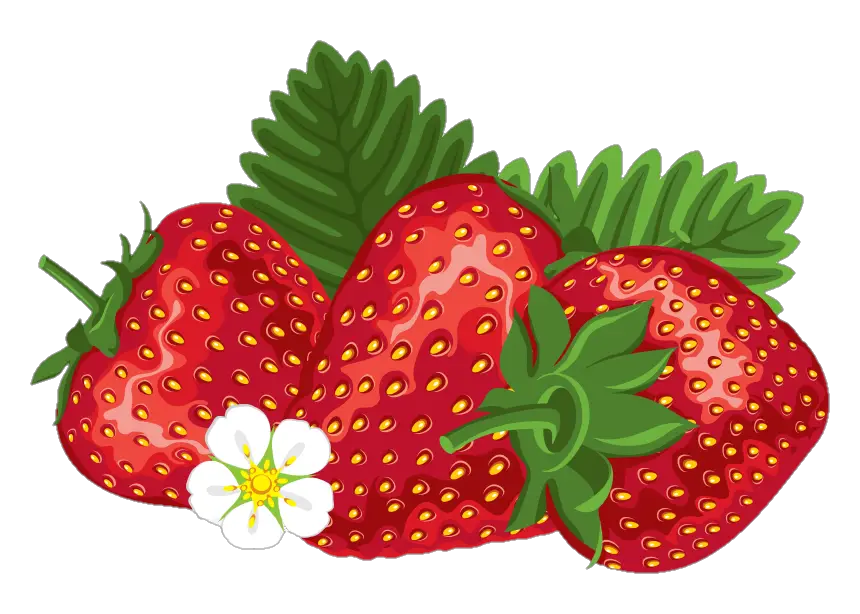 strawberry-png-image-from-pngfre-10