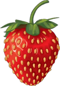 strawberry fruit clipart