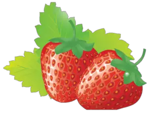 Strawberry Png vector image