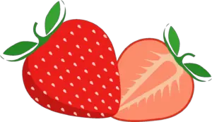 Strawberry Png vector